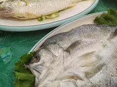 -北方饺子王·海肠捞饭·海鲜锅(山大店)
