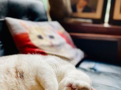 -咖法森林·咖啡  酒吧(天河店)