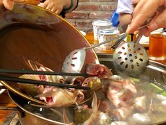 -章记正宗南岗鱼蛋火锅