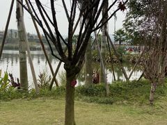 -枫香湖儿童公园