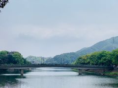 -蒋氏故居