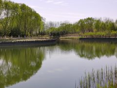 -大兴滨河森林公园