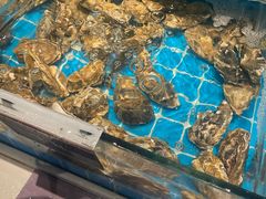 -渔纬港海鲜自助餐厅(湖里万达店)