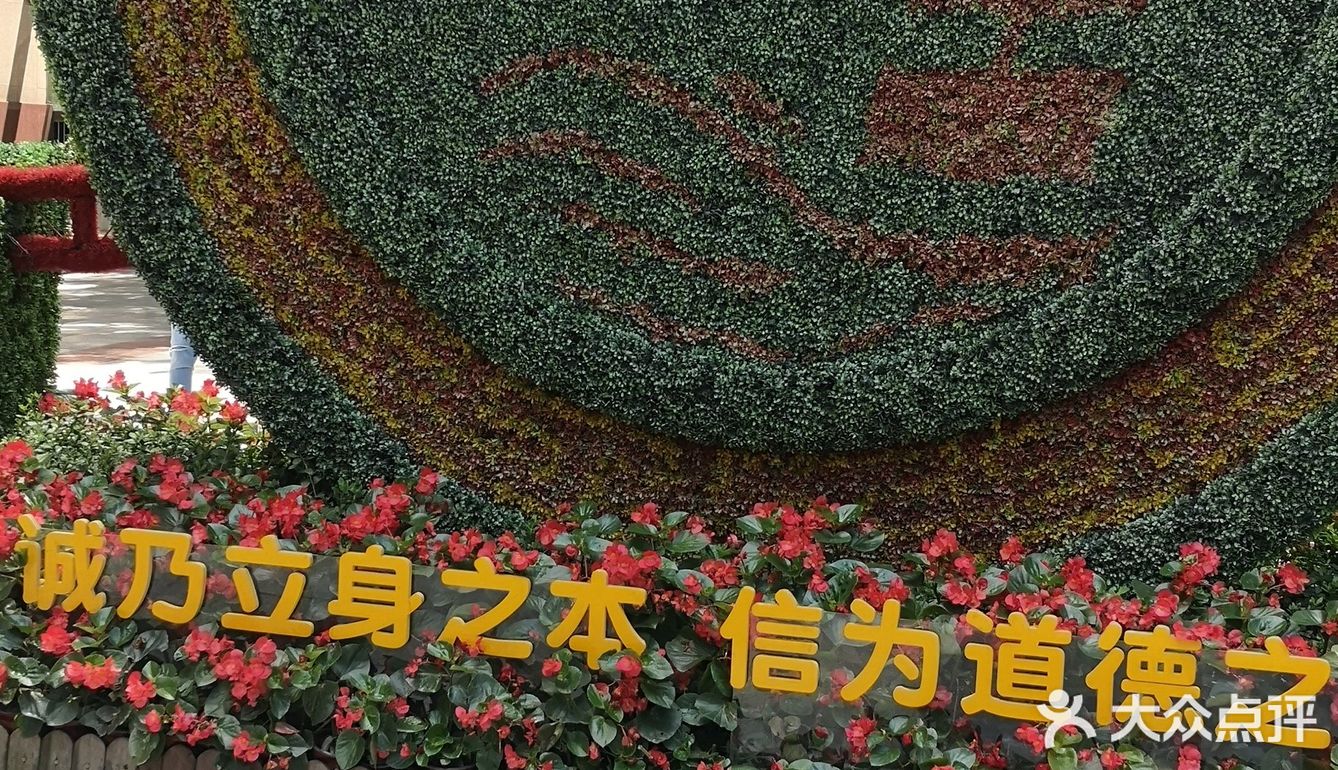 有点小热，趁着温度还不是重庆的最热天打卡市中区旳解放碑