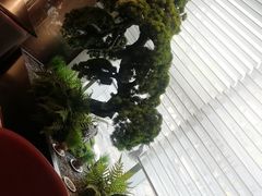 -苏淮景·苏闽融创菜·海鲜(原空港井河轩店)