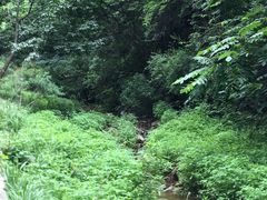 -九龙潭景区