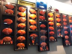 -龙海鲜螃蟹王(宏茂桥店)