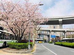 -上海南浦大桥长途旅游客运站