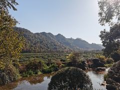 -中国茶叶博物馆(双峰馆区)