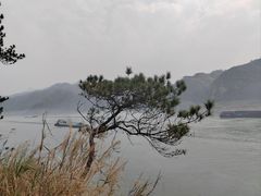 -羚羊峡古栈道森林公园