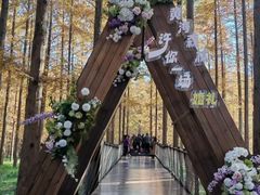 -黄海国家森林公园