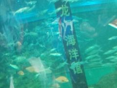 -洛阳龙门海洋馆