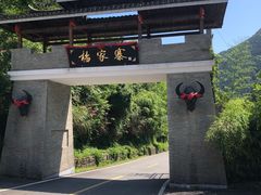 -杨家寨