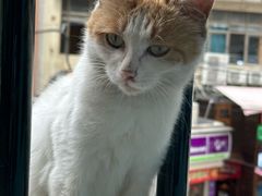 -Nectar One Cafe(勇烈路n1店)