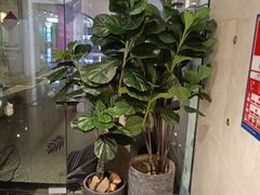 -泰适SPA馆丨精油·按摩·足道(后海地铁口店)