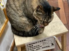 -猫的天空之城概念书店(杭州南宋御街店)