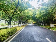 -椰风寨