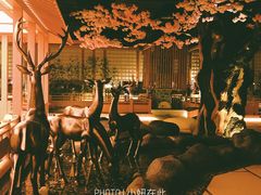 -蓝鲸湾汤泉(包河店)