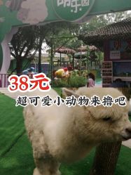 -萌宠亲子动物乐园(槐房万达店)