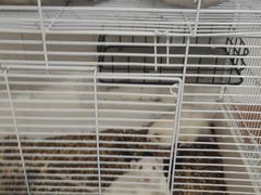 -蜜雪冰城(乌涂店)