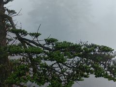 -峨嵋山金顶