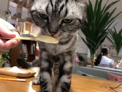 -有何Book(六堰体育馆店)