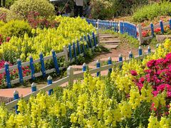 -铁山坪森林公园