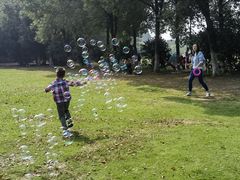 -艾溪湖湿地公园