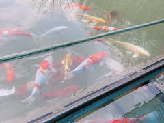 -陶祖圣境风景区