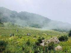 -白草畔自然风景区