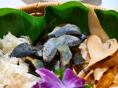 -野菌王•养生汤锅•野生菌火锅(大理漾濞路店)