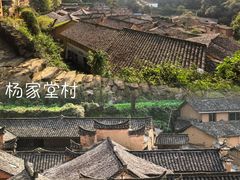 -杨家堂村