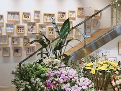 -植物学家的女儿(北马道巷店)