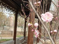 -北运河水利风景区