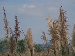 -良渚古城遗址公园
