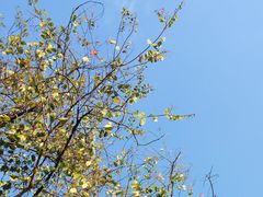 -黄埔军校旧址纪念馆