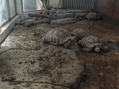-哈尔滨北方森林动物园