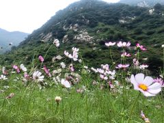 -石砭峪水库
