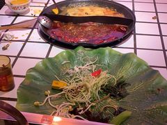 -朱光玉火锅馆(正弘城店)