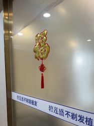 -碧莲盛·不剃发植发