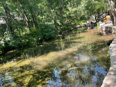 -玉渡山自然风景区