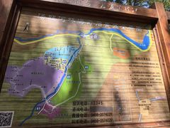 -汤旺河林海奇石景区