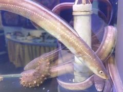 -聚百鲜海鲜烧烤私房菜(韩乐坊店)