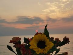 -日照灯塔风景区