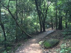 -火炉山森林公园