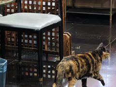 -黔府豆米火锅野菜馆(南马店)