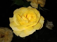 -人民公园(罗湖区)