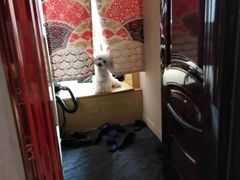 -伽利略剧本探案馆(国贸店)