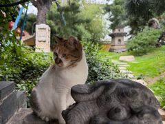 -龙华素斋(龙华路店)