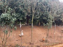 -潜山国家森林公园